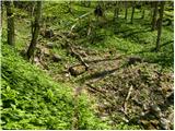 Kraljev hrib - Gradišče (Velika planina)